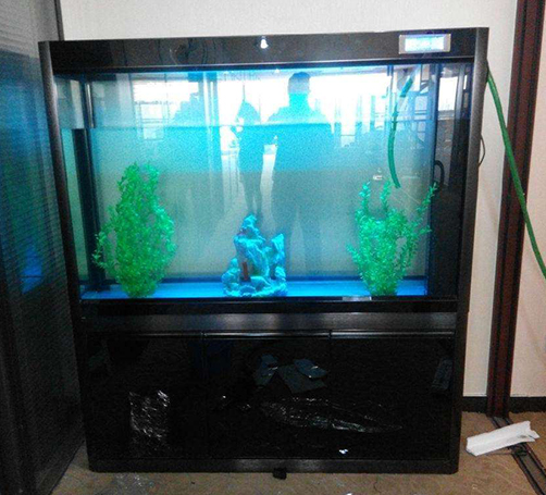武漢定做魚缸