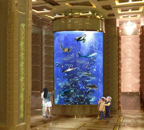 大型魚(yú)缸