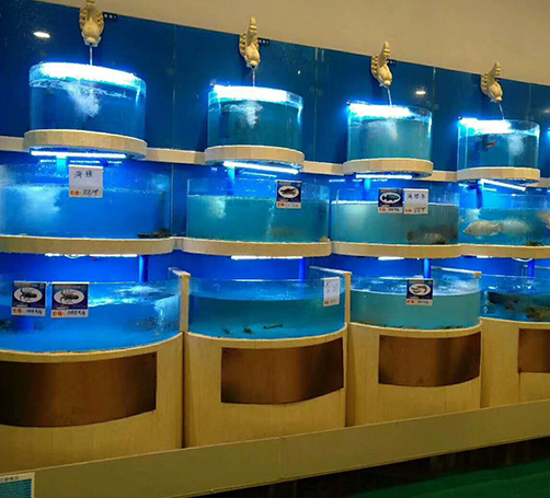 武漢定做魚缸