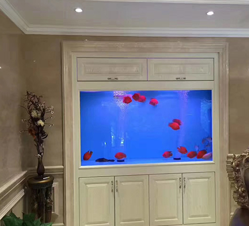 嵌入式魚缸